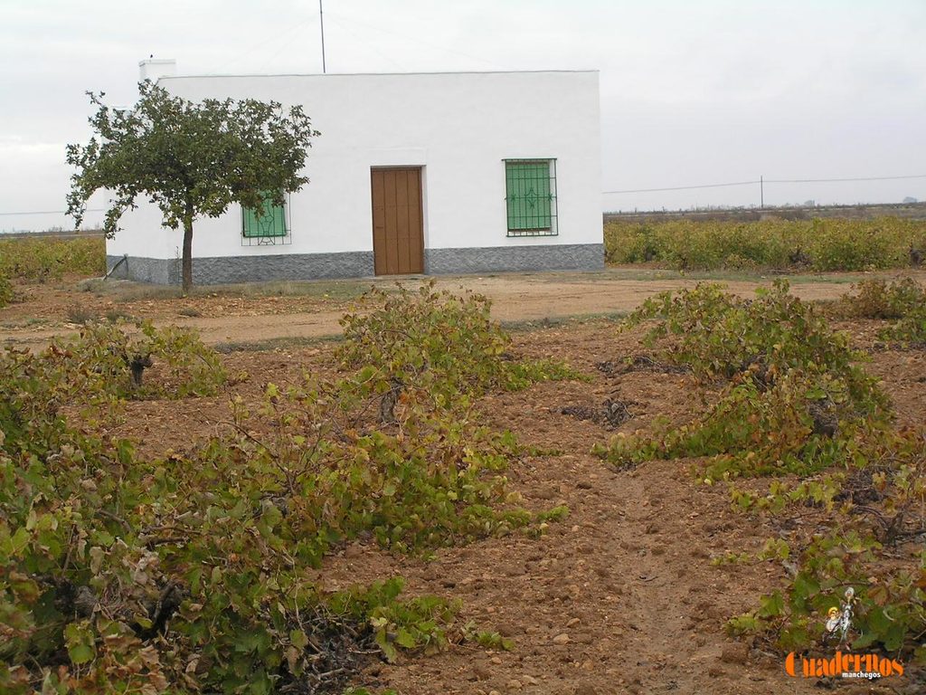 De centros de vida agrícola a ruinas: así desaparecen las casas de labor de Tomelloso 8 casas de campo agricolas tomelloso 7
