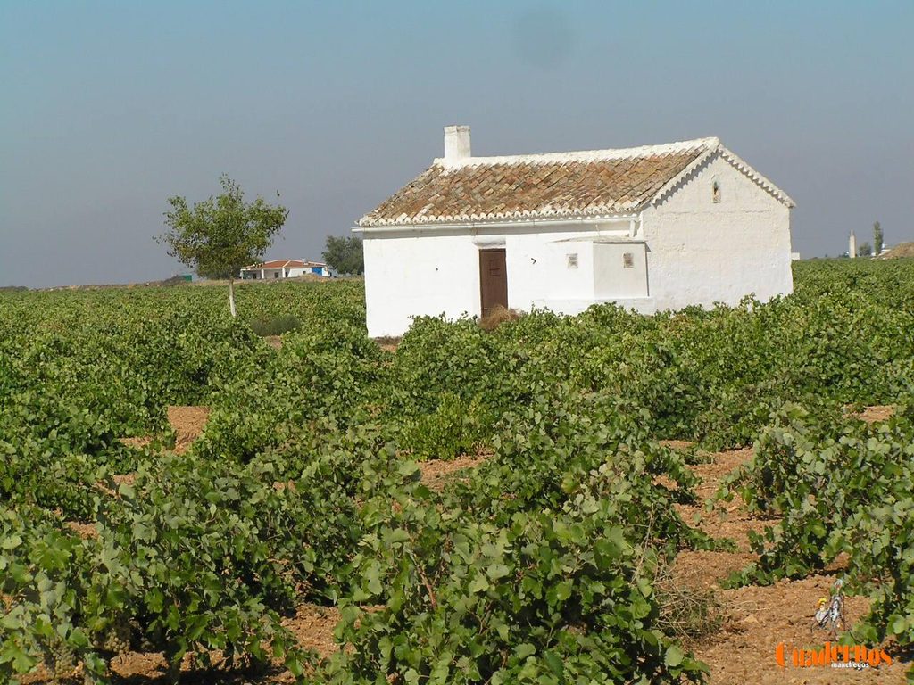De centros de vida agrícola a ruinas: así desaparecen las casas de labor de Tomelloso 9 casas de campo agricolas tomelloso 8