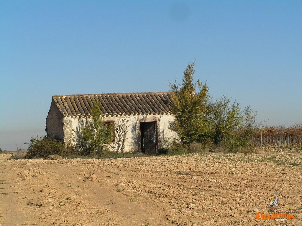 De centros de vida agrícola a ruinas: así desaparecen las casas de labor de Tomelloso 7 casas de campo agricolas tomelloso 9