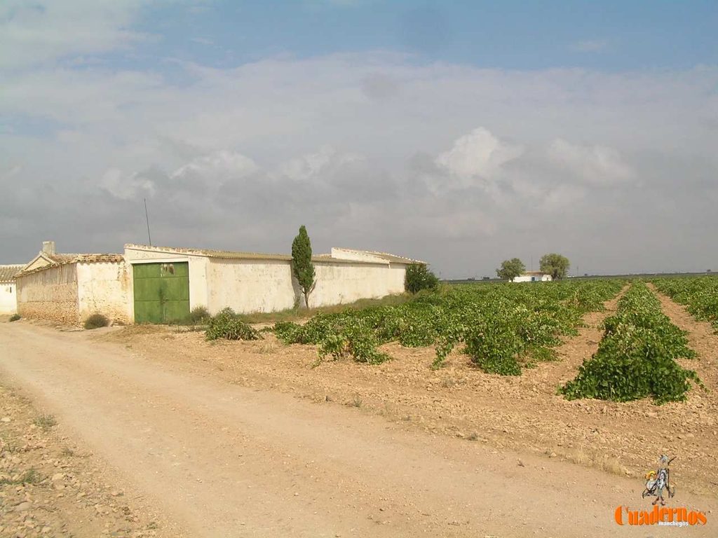Las casas blancas que aún resisten en la llanura de Tomelloso 4 casas de campo en tomelloso 2