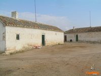 Las casas blancas que aún resisten en la llanura de Tomelloso Casas de Campo de Tomelloso
