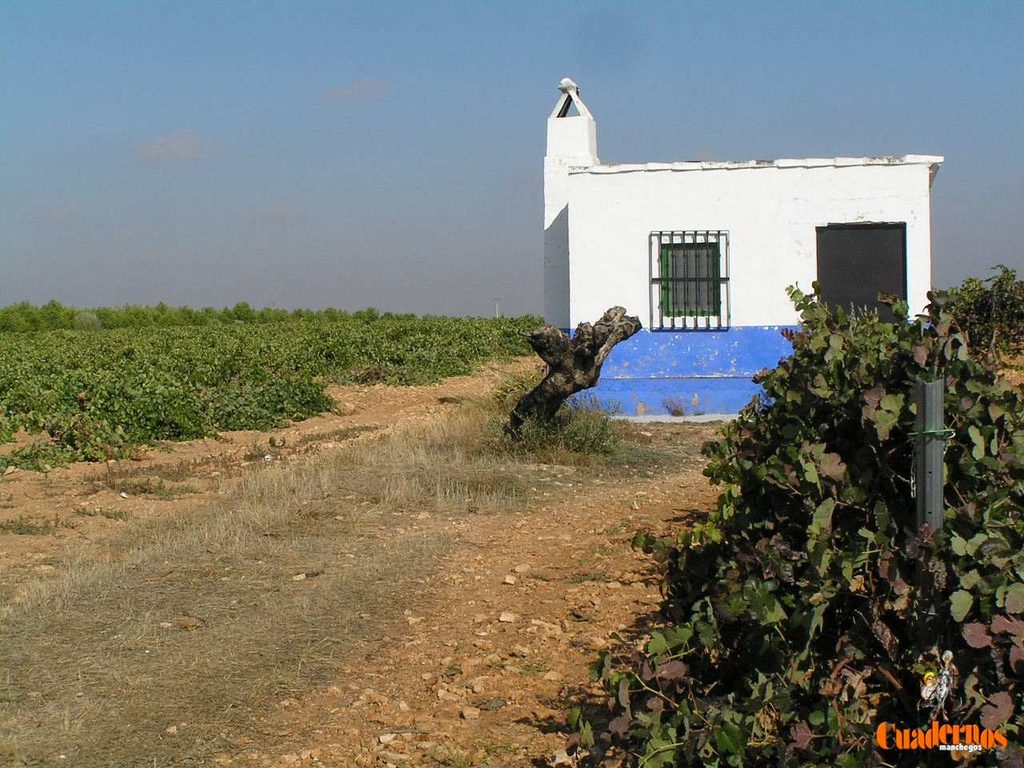 Las casas blancas que aún resisten en la llanura de Tomelloso 3 casas de campo en tomelloso 3