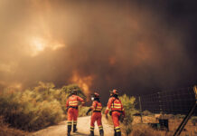 Los ingenieros agrónomos preparan medidas de apoyo para los afectados por los incendios Los ingenieros agrónomos preparan medidas de apoyo para los afectados por los incendios