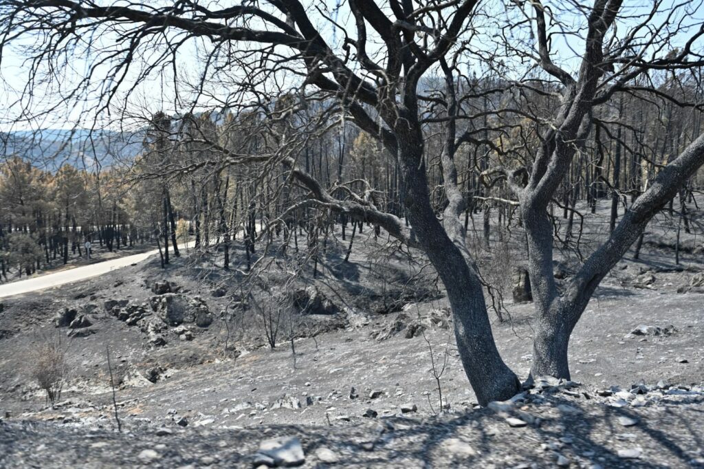 COSITAL Castilla-La Mancha sitúa la prevención en el centro de la lucha contra los incendios 1 cositalincendios