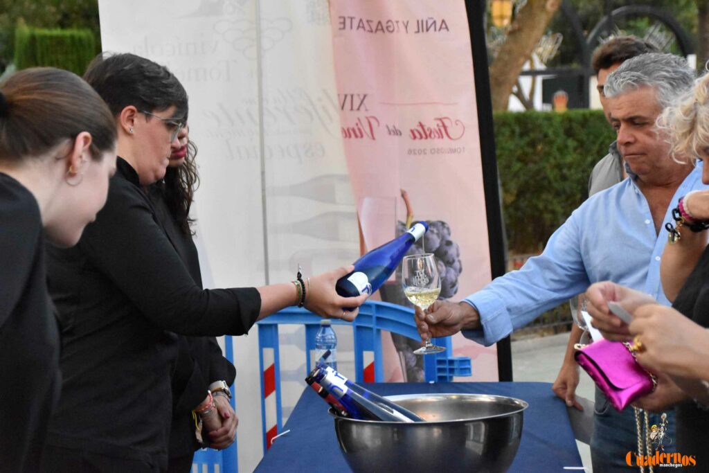 Tomelloso desafía al calor y llena de ambiente la primera noche de su XIV Fiesta del Vino 14 decimocuarta fiesta del vino 13