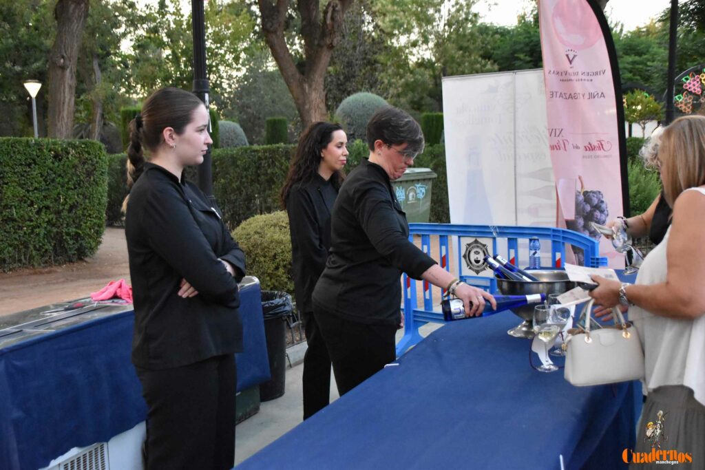 Tomelloso desafía al calor y llena de ambiente la primera noche de su XIV Fiesta del Vino 18 decimocuarta fiesta del vino 17