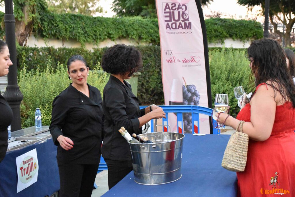 Tomelloso desafía al calor y llena de ambiente la primera noche de su XIV Fiesta del Vino 23 decimocuarta fiesta del vino 22