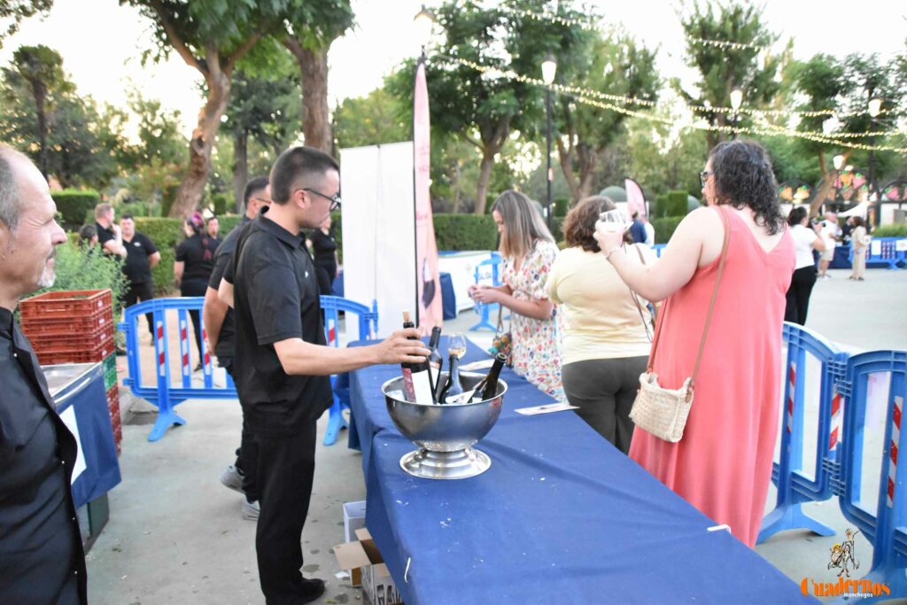 Tomelloso desafía al calor y llena de ambiente la primera noche de su XIV Fiesta del Vino 28 decimocuarta fiesta del vino 27