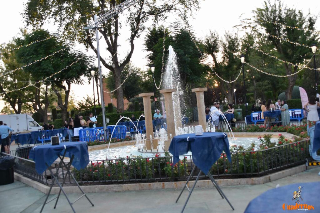 Tomelloso desafía al calor y llena de ambiente la primera noche de su XIV Fiesta del Vino 42 decimocuarta fiesta del vino 41