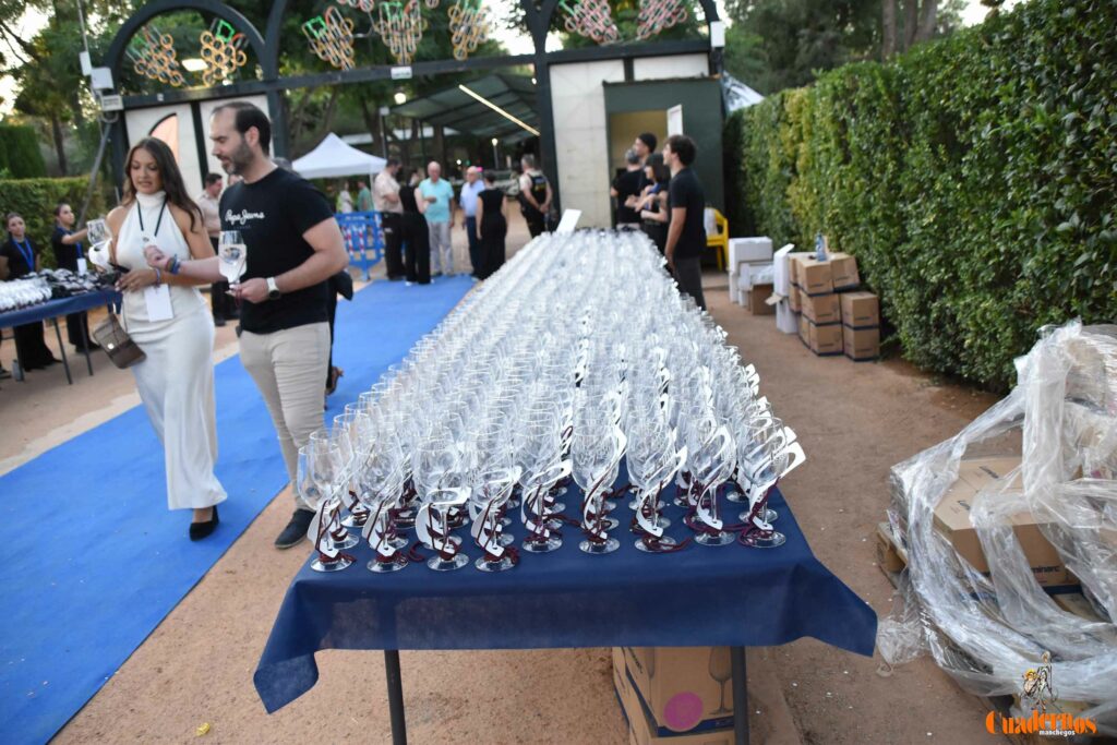 Tomelloso desafía al calor y llena de ambiente la primera noche de su XIV Fiesta del Vino 52 decimocuarta fiesta del vino 51