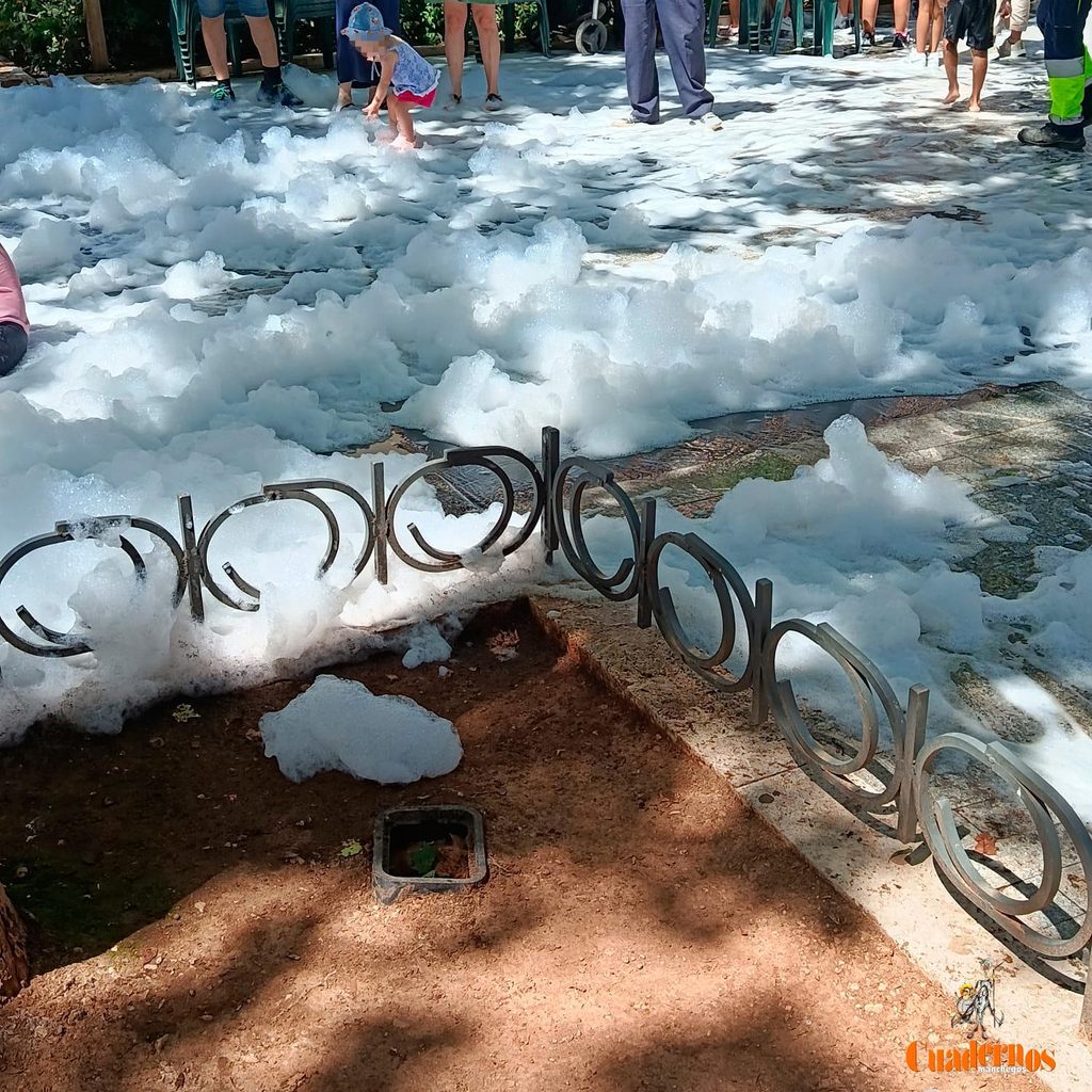 dia espuma feria tomelloso 10