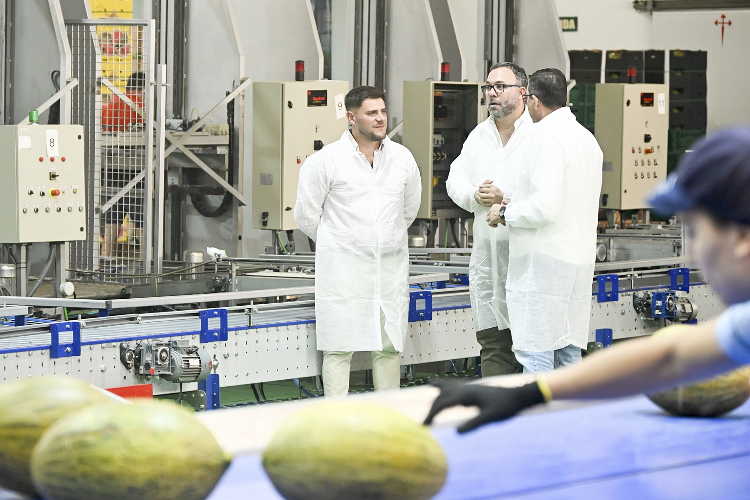 La campaña de melón y sandía de La Mancha centra la actividad de la cooperativa Santiago Apóstol 3 El alcalde visita la cooperativa Santiago Apóstol en plena campaña de recogida y comercialización del melón de La Mancha