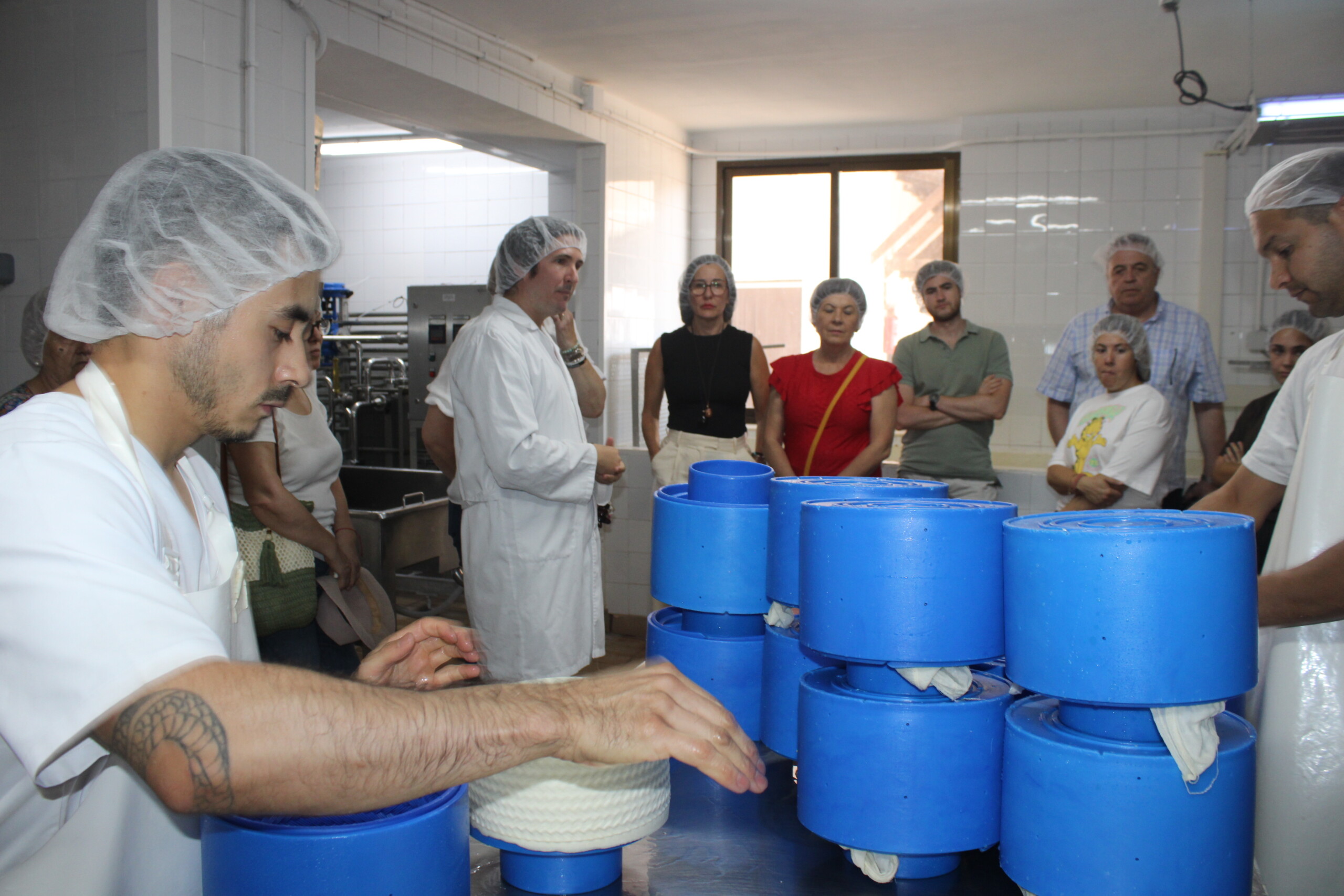 La Junta impulsa con medio millón de euros dos proyectos innovadores para mejorar la sostenibilidad y la productividad del ovino manchego 1 El Gobierno regional impulsa con medio millón de euros dos proyectos innovadores para mejorar la sostenibilidad y la productividad del ovino manchego