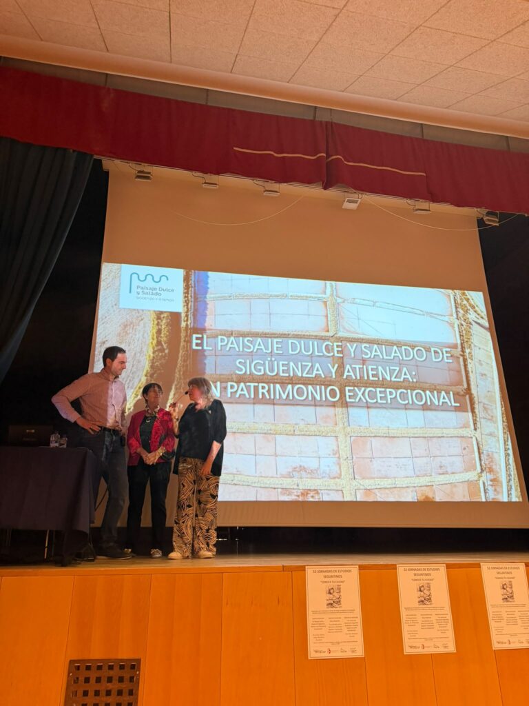 Las Jornadas de Estudios Seguntinos refuerzan el compromiso de la ciudad con su patrimonio 1 estudiosseguntinos