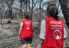 Fundación Madrina dona 17 toneladas de paja, agua y 2 kilómetros de tuberías para alimentar al ganado y a la fauna salvaje tras los incendios de Ávila Fundación Madrina dona 17 toneladas de paja, agua y 2 kilómetros de tuberías para alimentar al ganado y a la fauna salvaje tras los incendios de Ávila