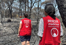 Fundación Madrina dona 17 toneladas de paja, agua y 2 kilómetros de tuberías para alimentar al ganado y a la fauna salvaje tras los incendios de Ávila Fundación Madrina dona 17 toneladas de paja, agua y 2 kilómetros de tuberías para alimentar al ganado y a la fauna salvaje tras los incendios de Ávila