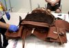 Intervenidos en Guadalajara cinco kilos de cocaína escondidos en una silla de montar a caballo Intervenidos en Guadalajara cinco kilos de cocaína escondidos en una silla de montar a caballo