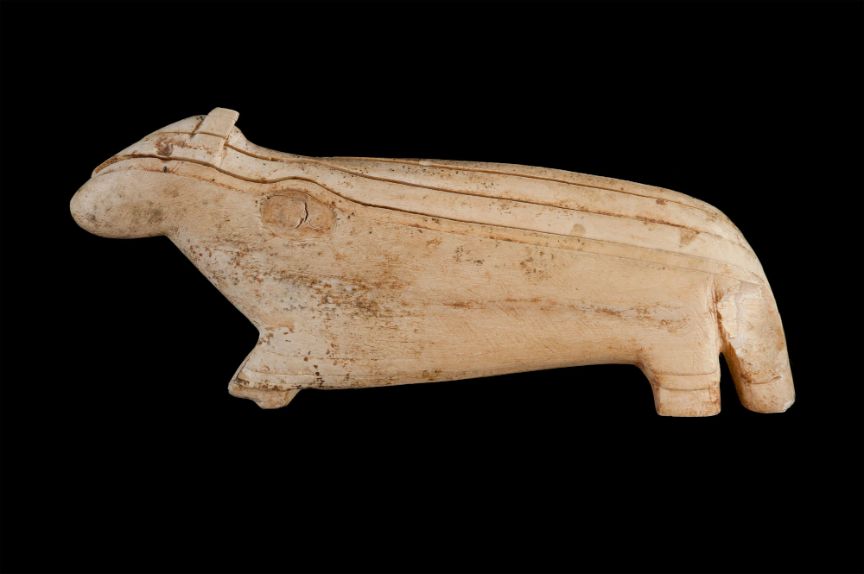 Jarama II, la pequeña cueva de Guadalajara que conserva miles de años de historia humana 1 gloton jarama dos