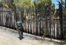 Atrapada por las llamas en Socovos: la Guardia Civil rescata a una mujer y a sus dos perros Atrapada por las llamas en Socovos: la Guardia Civil rescata a una mujer y a sus dos perros