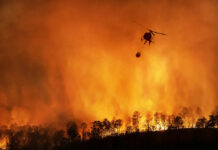 CSIF alerta de falta de medios y personal en Geacam y reclama ampliar la campaña contra incendios a seis meses CSIF alerta de falta de medios y personal en Geacam y reclama ampliar la campaña contra incendios a seis meses