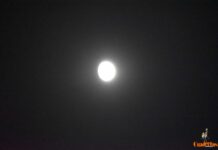La luna se fue de marcha La luna se fue de marcha