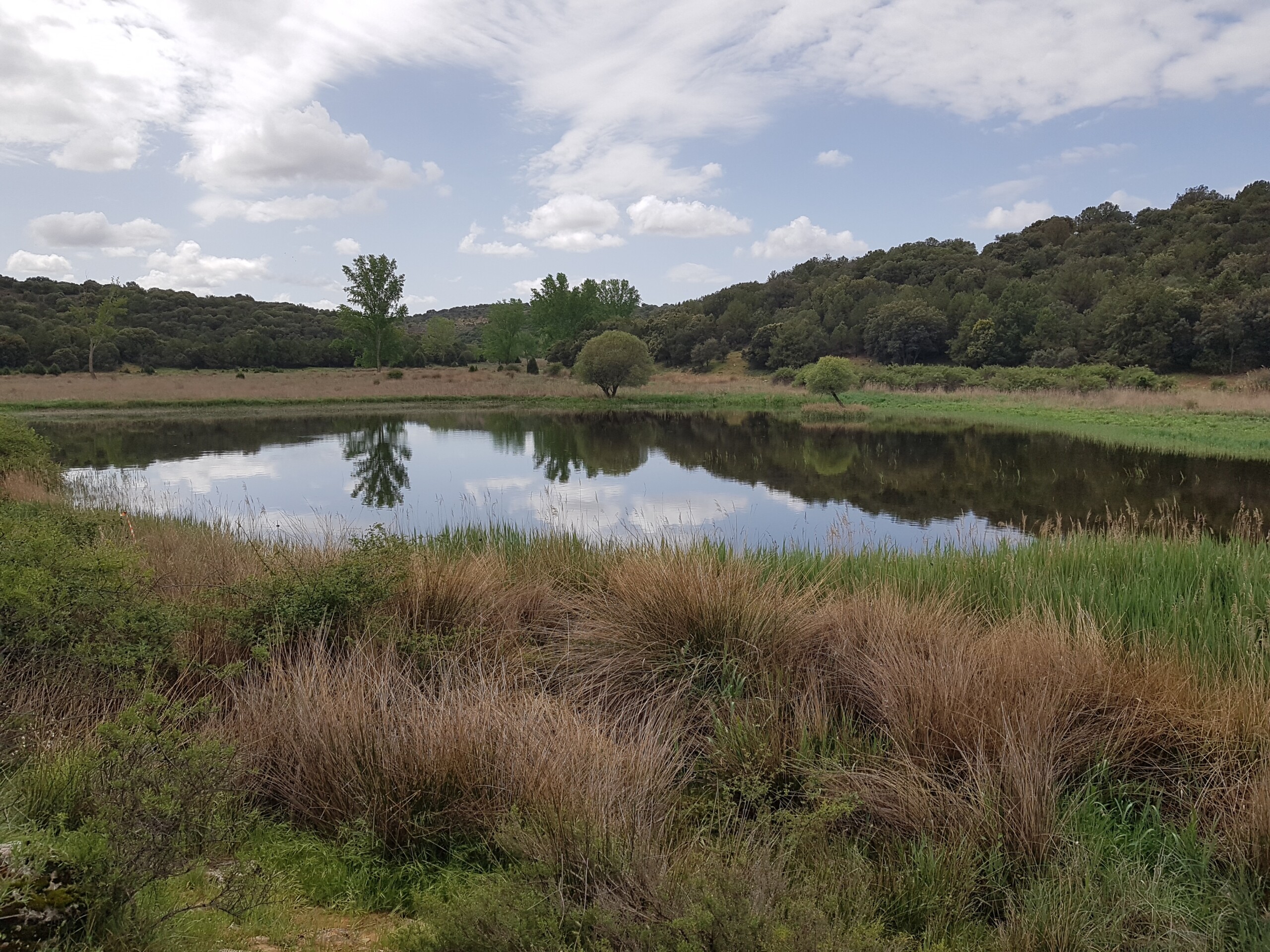 La restauración del Valle de las Hazadillas devuelve el agua a un humedal desaparecido junto al Parque Natural de las Lagunas de Ruidera 2 La restauración del Valle de las Hazadillas devuelve el agua a un humedal desaparecido junto al Parque Natural de las Lagunas de Ruidera