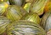 ASAJA Ciudad Real exige poner fin al uso del vino, el aceite 0 el melón como productos reclamo en las grandes superficies ASAJA Ciudad Real exige poner fin al uso del vino, el aceite 0 el melón como productos reclamo en las grandes superficies