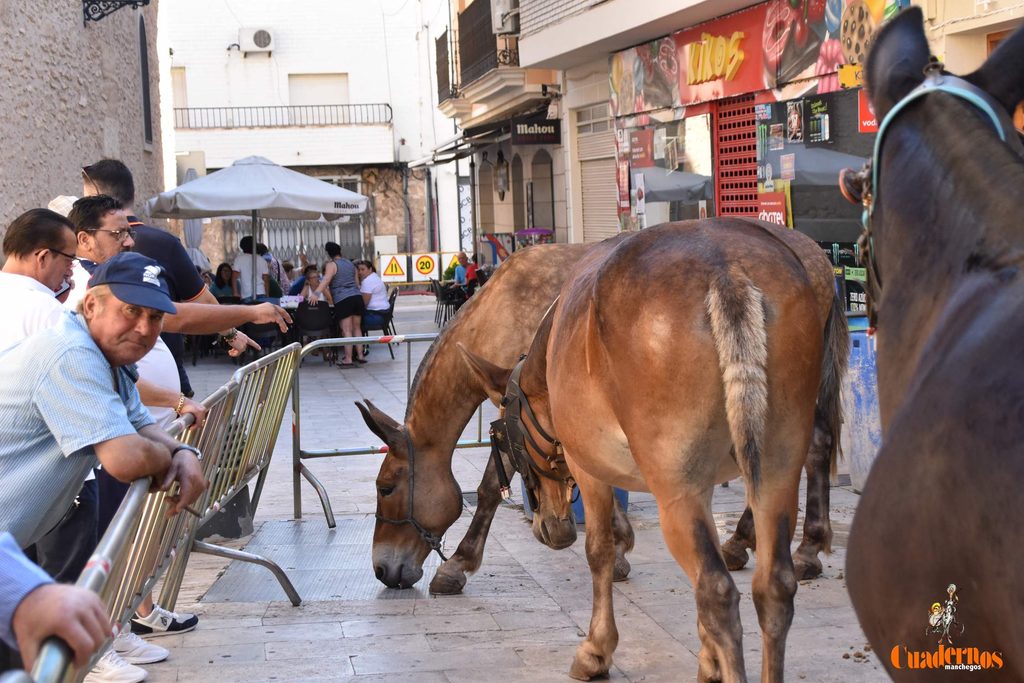 La plaza de Tomelloso celebra dos décadas de mercado tradicional con más participación que nunca 24 mercado tradicional tomelloso 2026 17