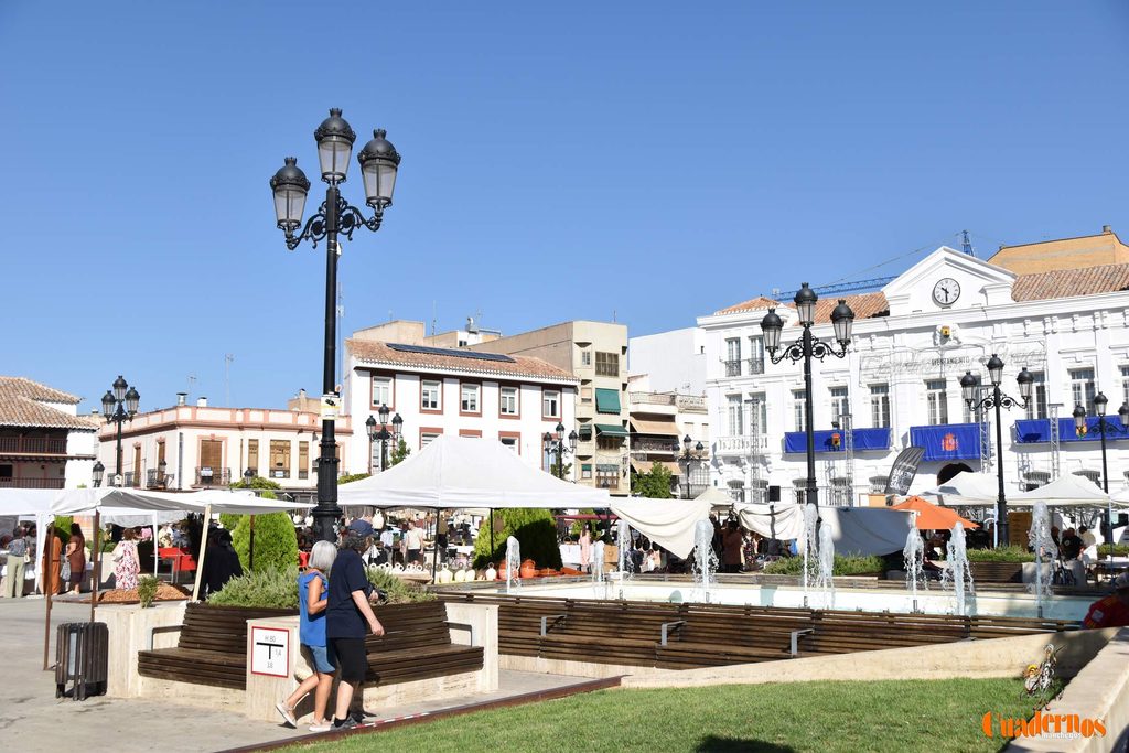 La plaza de Tomelloso celebra dos décadas de mercado tradicional con más participación que nunca 20 mercado tradicional tomelloso 2026 21