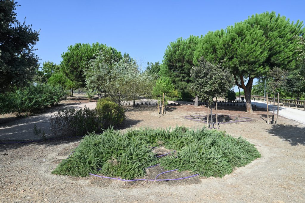 Los secretos del parque de las Comunidades en Puente de Vallecas: un mirador, plantas aromáticas y ejemplares de todas las regiones de España 5 parque comunidades madrid