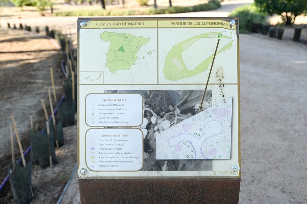Los secretos del parque de las Comunidades en Puente de Vallecas: un mirador, plantas aromáticas y ejemplares de todas las regiones de España 4 parque comunidades madrid 2
