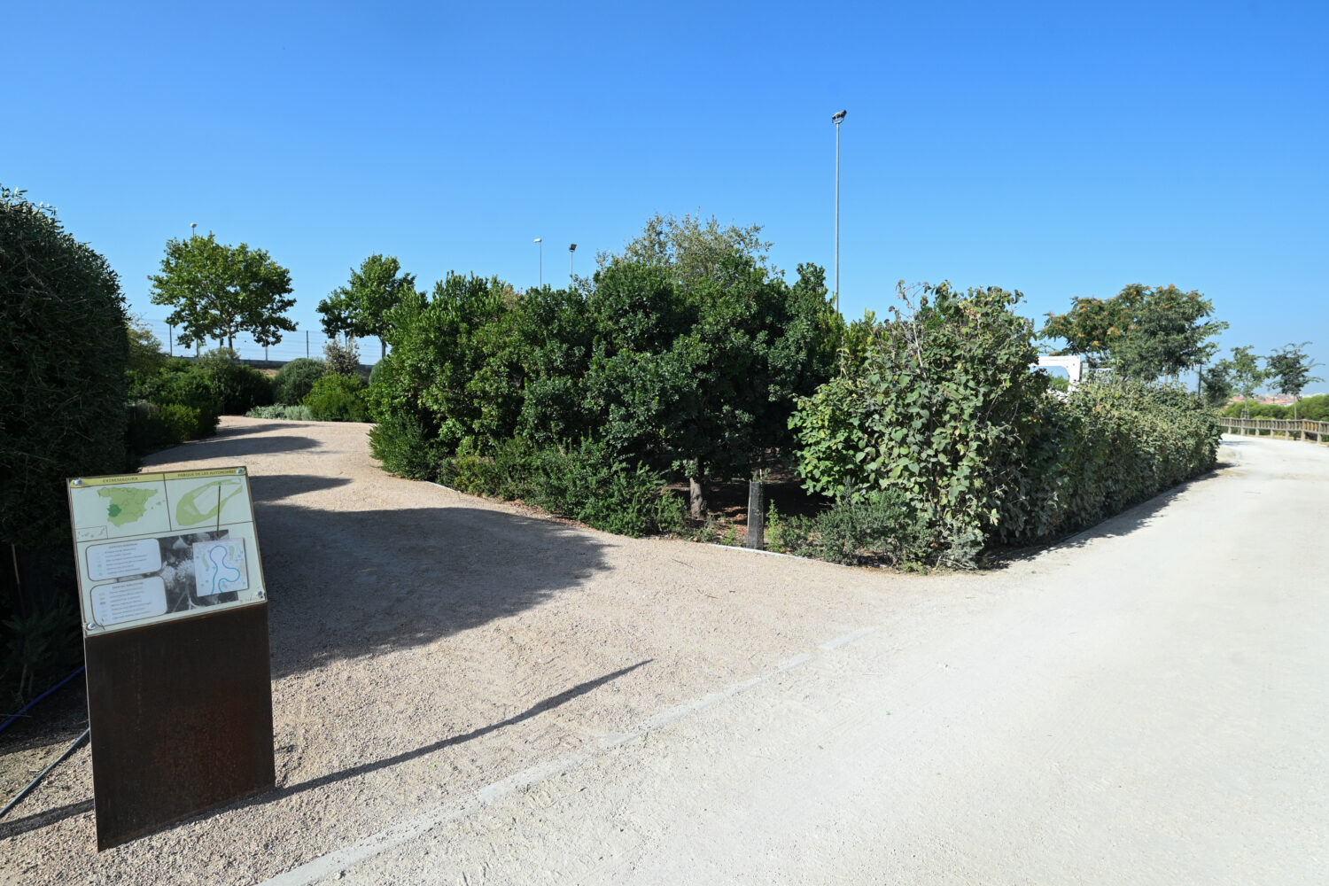 Los secretos del parque de las Comunidades en Puente de Vallecas: un mirador, plantas aromáticas y ejemplares de todas las regiones de España