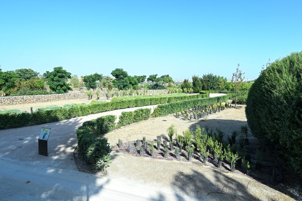 Los secretos del parque de las Comunidades en Puente de Vallecas: un mirador, plantas aromáticas y ejemplares de todas las regiones de España 2 parque comunidades madrid 5