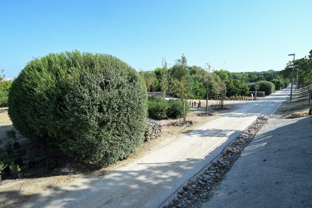 Los secretos del parque de las Comunidades en Puente de Vallecas: un mirador, plantas aromáticas y ejemplares de todas las regiones de España 1 parque comunidades madrid 6
