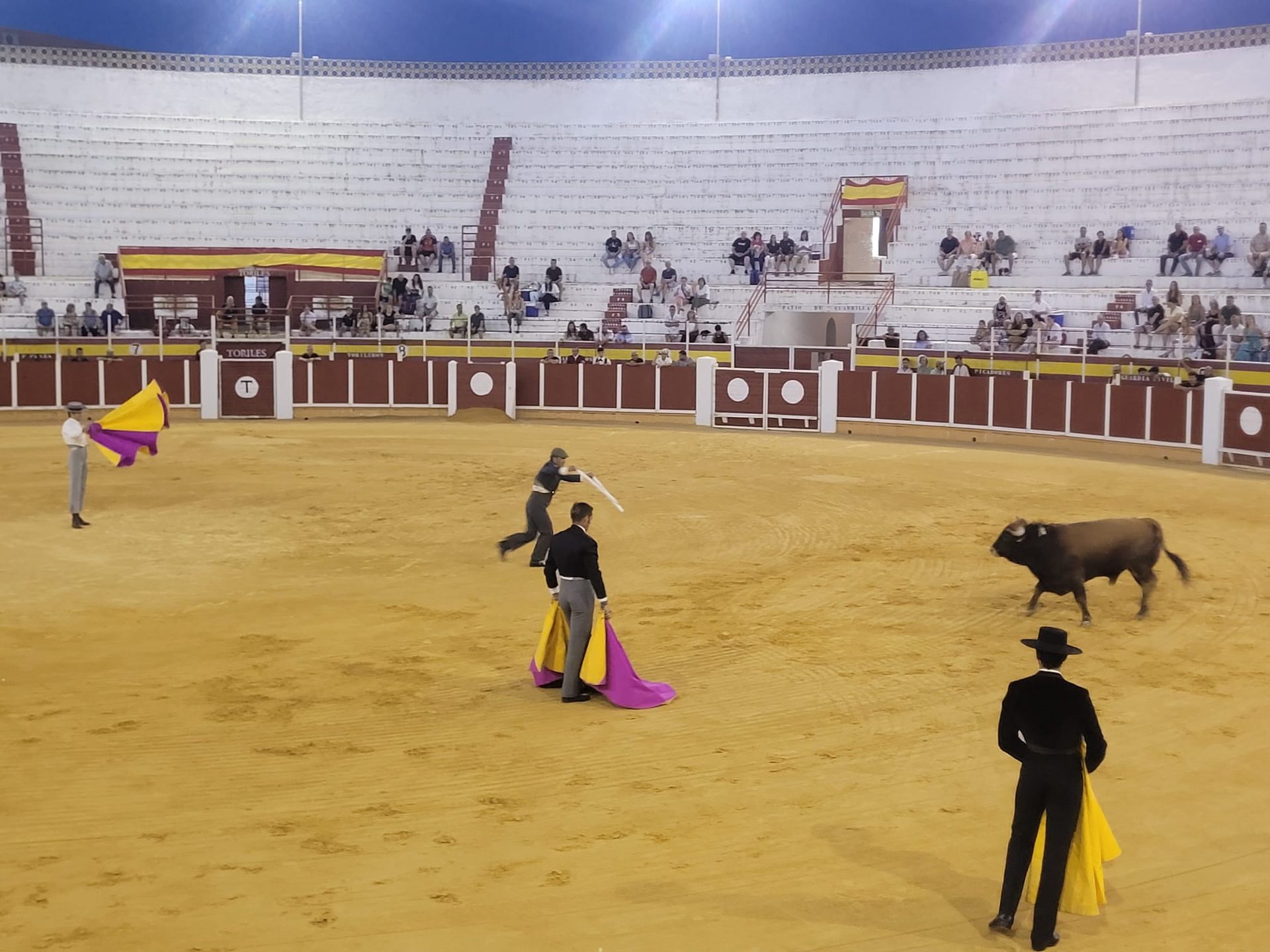IU Tomelloso denuncia el despilfarro de dinero público en la tauromaquia y exige el fin de sus subvenciones