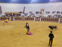 IU Tomelloso denuncia el despilfarro de dinero público en la tauromaquia y exige el fin de sus subvenciones IU Tomelloso denuncia el despilfarro de dinero público en la tauromaquia y exige el fin de sus subvenciones