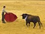 Peronita triunfa ante su afición y sale por la puerta grande en el Festival Taurino de Tomelloso Peronita triunfa ante su afición y sale por la puerta grande en el Festival Taurino de Tomelloso