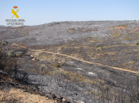 El SEPRONA investiga a dos personas por el incendio de Cabezarrubias del Puerto (Ciudad Real) el pasado 5 de julio 1 sepronainvestigacion 2