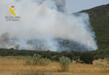 El SEPRONA investiga a dos personas por el incendio de Cabezarrubias del Puerto (Ciudad Real) el pasado 5 de julio El SEPRONA investiga a dos personas por el incendio de Cabezarrubias del Puerto (Ciudad Real) el pasado 5 de julio