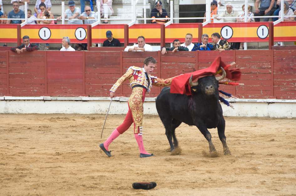 Daniel Moset y Andrés García salen a hombros en el festejo grande de San Roque en Sigüenza 1 siguenza corrida toros 2