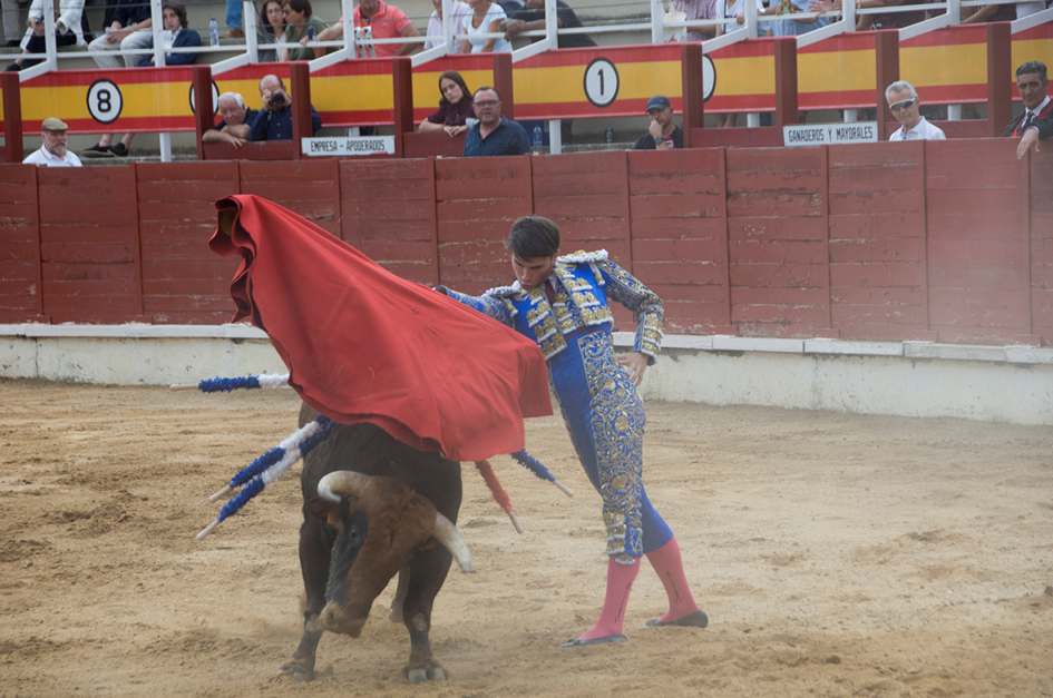 Daniel Moset y Andrés García salen a hombros en el festejo grande de San Roque en Sigüenza 2 siguenza corrida toros 3