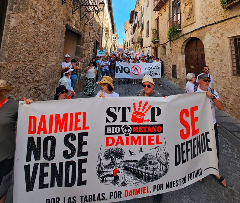 Stop Daimiel