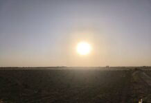 AEMET prevé hasta 38 grados en Tomelloso este lunes y rachas de viento de 60 km/h AEMET prevé hasta 38 grados en Tomelloso este lunes y rachas de viento de 60 km/h