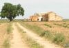 Tomelloso afronta un domingo muy caluroso con temperaturas de hasta 38 grados Tomelloso afronta un domingo muy caluroso con temperaturas de hasta 38 grados