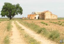 Tomelloso afronta un domingo muy caluroso con temperaturas de hasta 38 grados Tomelloso afronta un domingo muy caluroso con temperaturas de hasta 38 grados
