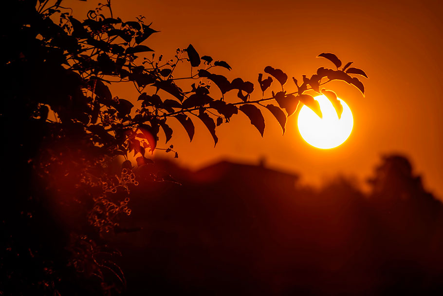 Tomelloso alcanzará los 39 grados este miércoles con cielo despejado y aviso por altas temperaturas