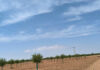 El tiempo en Tomelloso hoy: cielo despejado y temperaturas de hasta 39 grados El tiempo en Tomelloso hoy: cielo despejado y temperaturas de hasta 39 grados