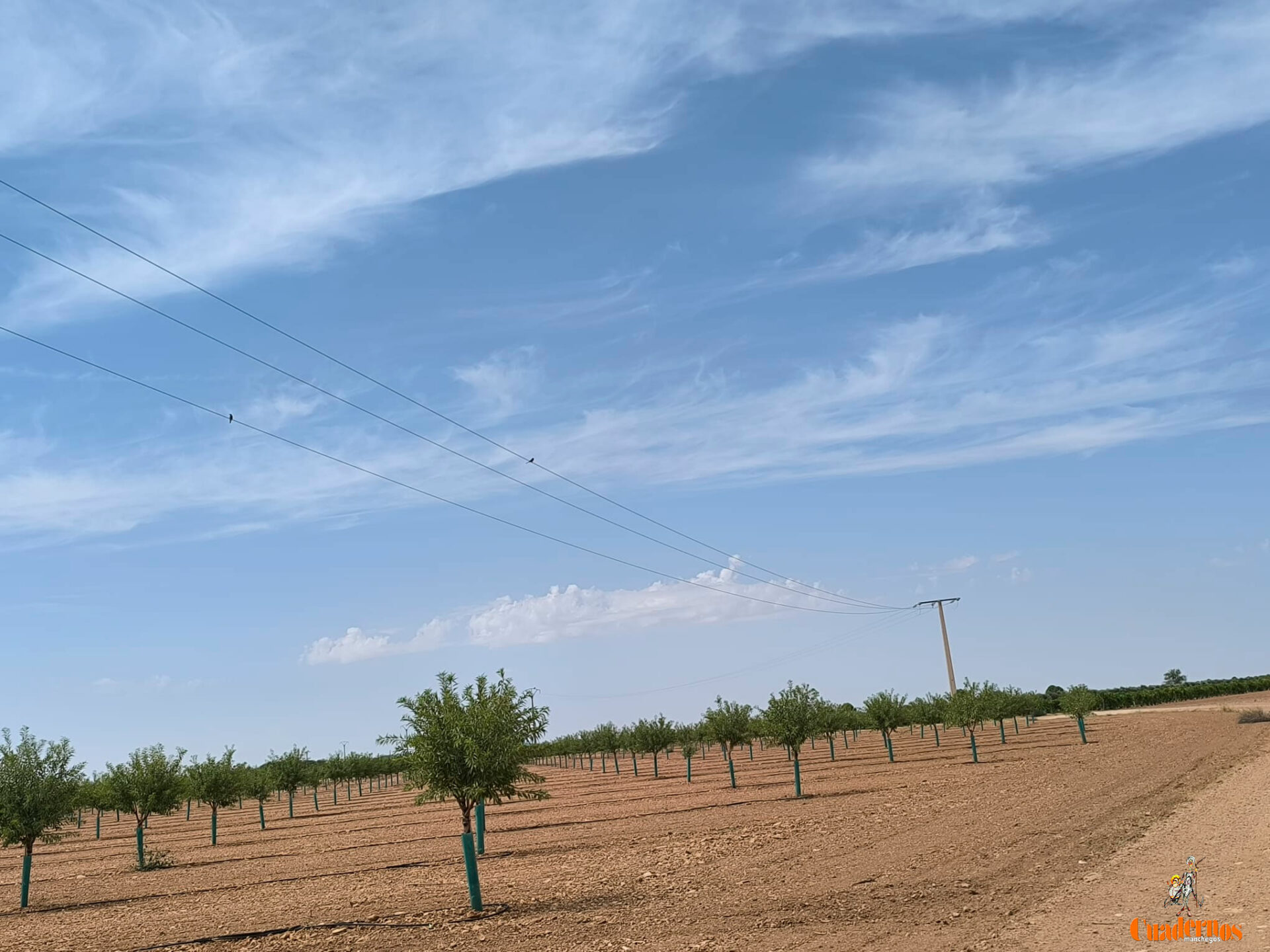El tiempo en Tomelloso hoy: cielo despejado y temperaturas de hasta 39 grados