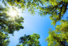 Cielo despejado y temperaturas de hasta 37 grados este jueves en Tomelloso Cielo despejado y temperaturas de hasta 37 grados este jueves en Tomelloso
