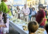 700 escolares llenan de deporte y energía la plaza de España de Tomelloso con “Deporte sin límites” 700 escolares de 14 colegios de Tomelloso participan en la Semana Europea de la Movilidad con la actividad “Deporte sin límites”